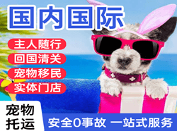 南京禄口空运代理国际宠物托运 【国